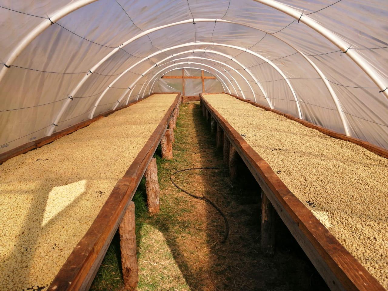 African drying beds