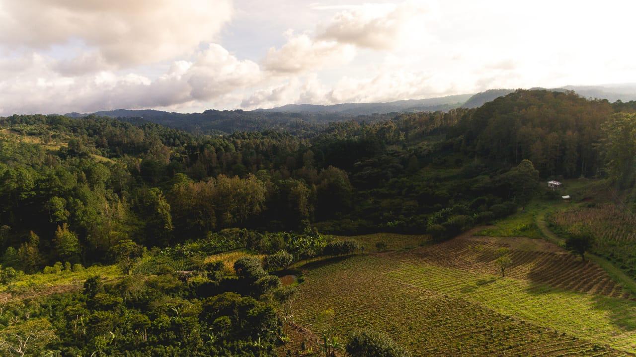 Mountains of Marcala, Honduras