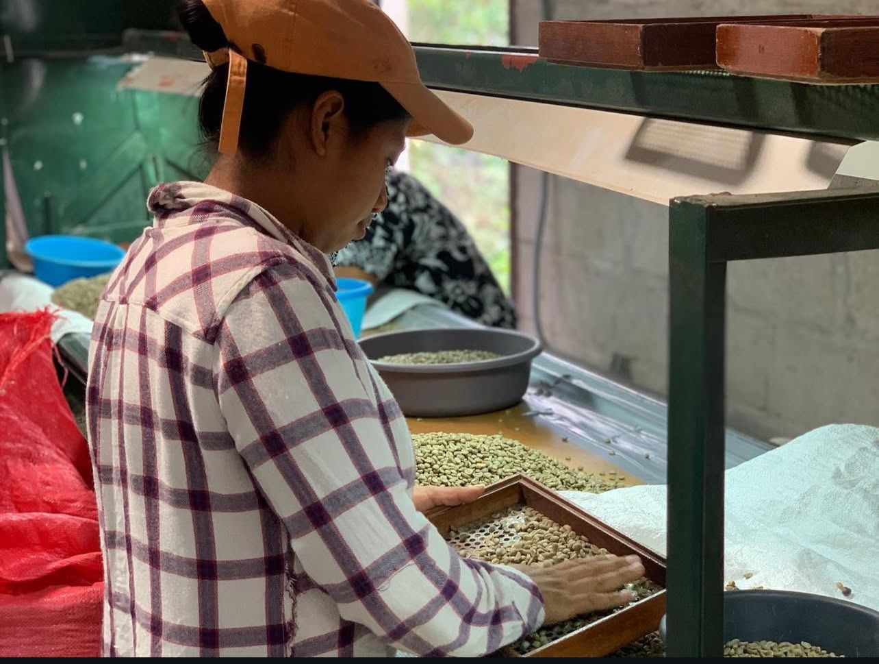 Women sorting