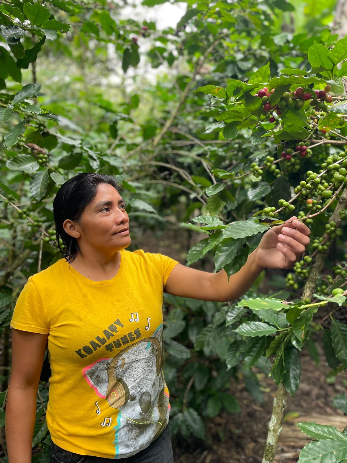 Woman in coffee field